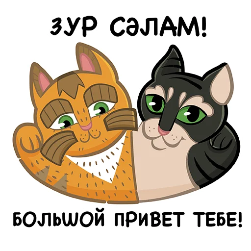 Cats_MilliardTatar 1