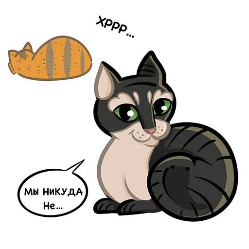 Cats_MilliardTatar 13