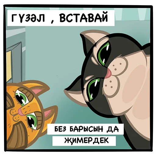 Cats_MilliardTatar 18