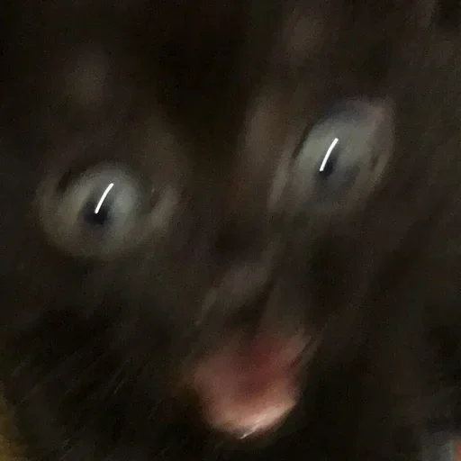 DCZUWRTQXL_by_stikeri_stikeri_bot 7