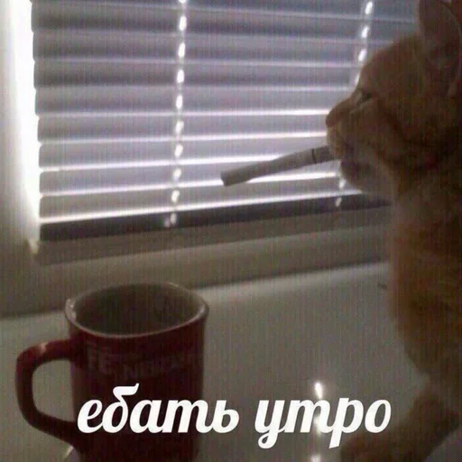 DCZUWRTQXL_by_stikeri_stikeri_bot 18