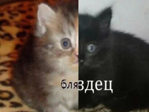 DCZUWRTQXL_by_stikeri_stikeri_bot 20