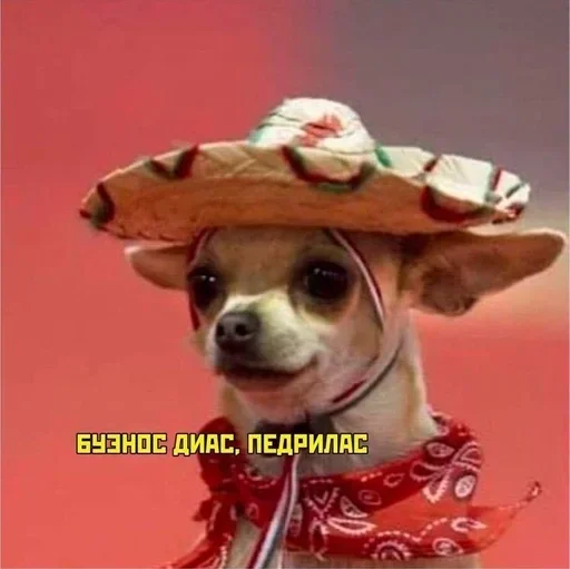 DCZUWRTQXL_by_stikeri_stikeri_bot 22