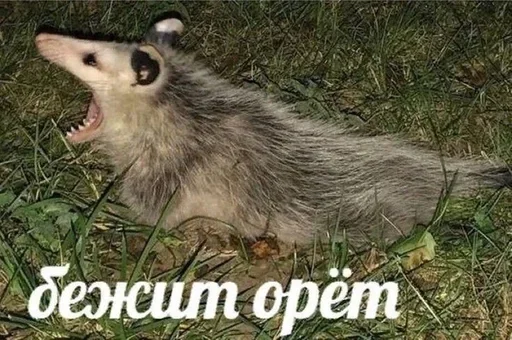 DCZUWRTQXL_by_stikeri_stikeri_bot 28