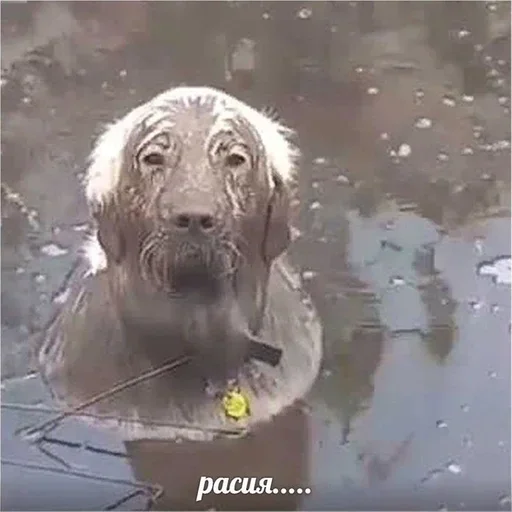 DCZUWRTQXL_by_stikeri_stikeri_bot 30