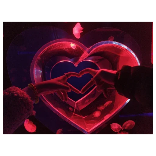 Ddream_vVad_kanikolay 17