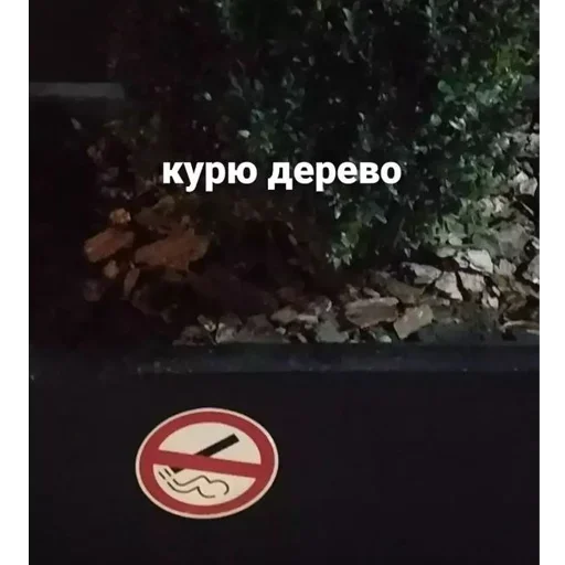 Ddream_vVad_kanikolay 25