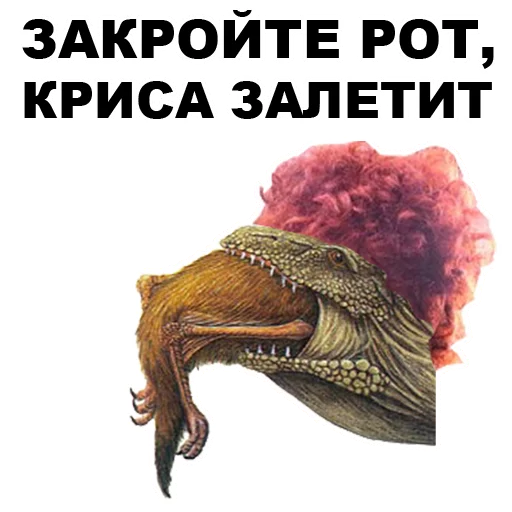 Dino_from_Odessa_eeZee 21