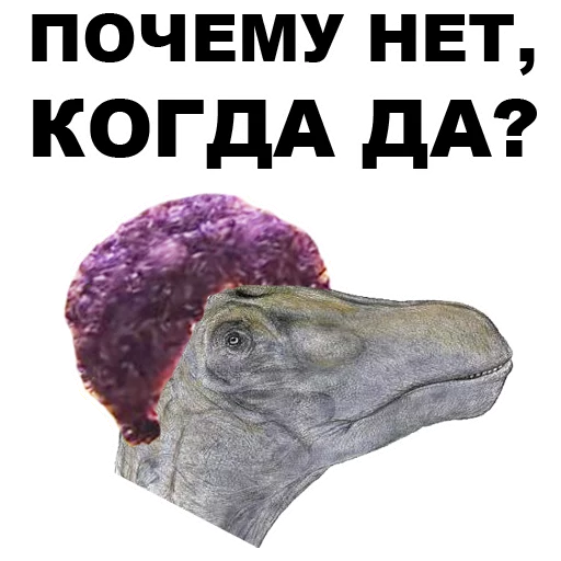 Dino_from_Odessa_eeZee 23