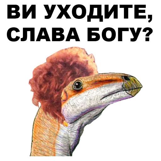 Dino_from_Odessa_eeZee 26