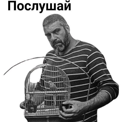 DovlatovCasual 11