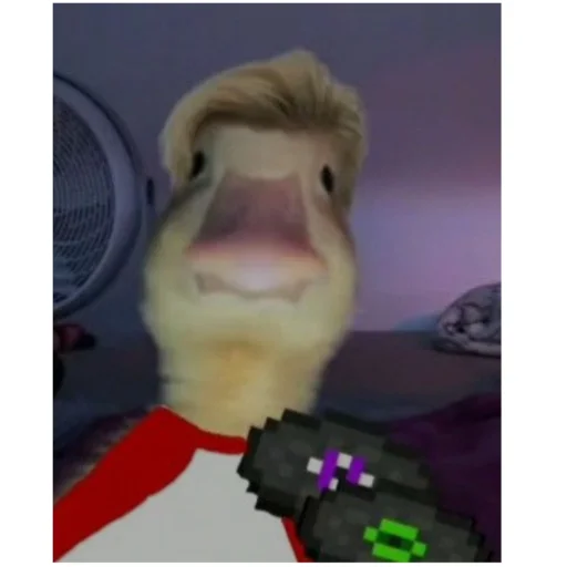 DreamSMPmemems 9