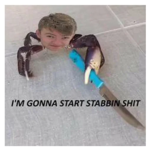 DreamSMPmemems 11