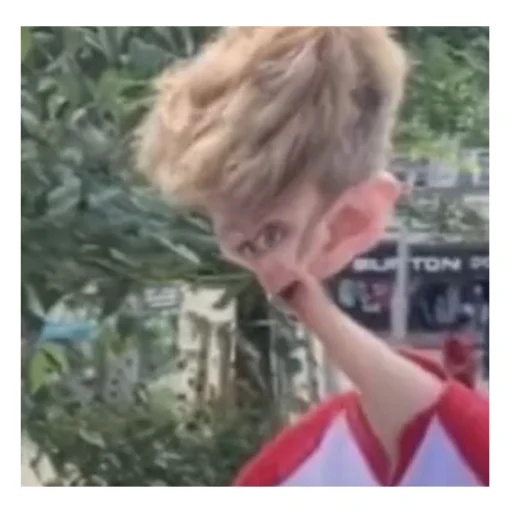 DreamSMPmemems 12