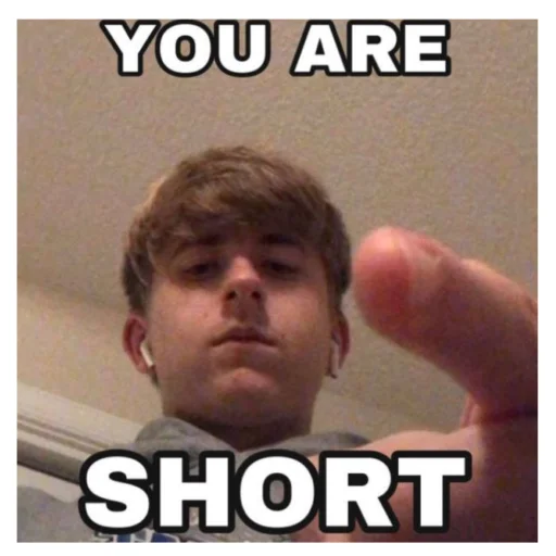 DreamSMPmemems 13