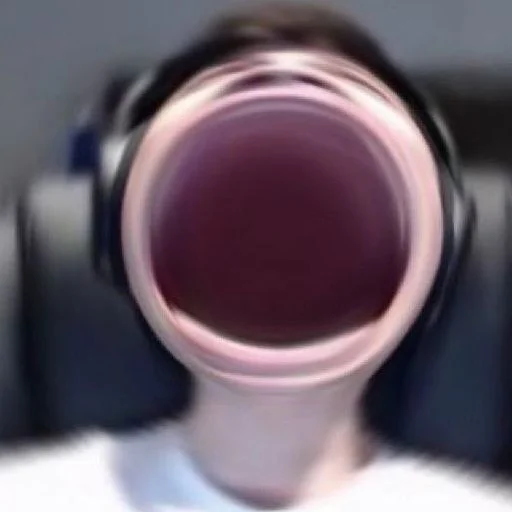 DreamSMPmemems 16