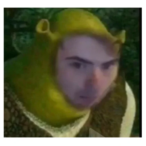 DreamSMPmemems 17