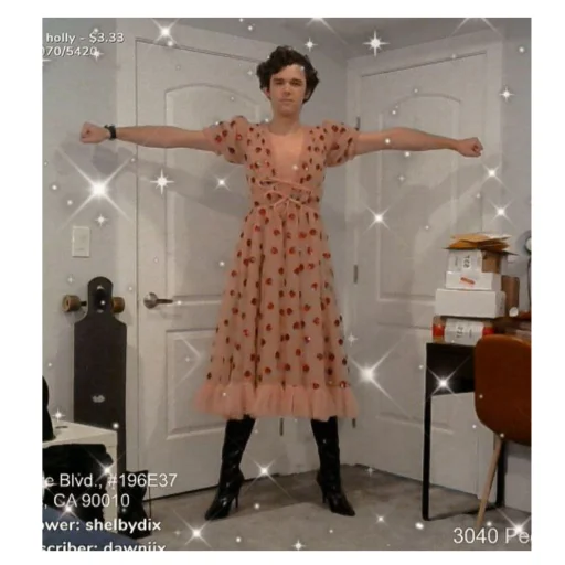 DreamSMPmemems 28