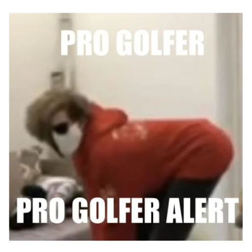 DreamSMPmemems 29