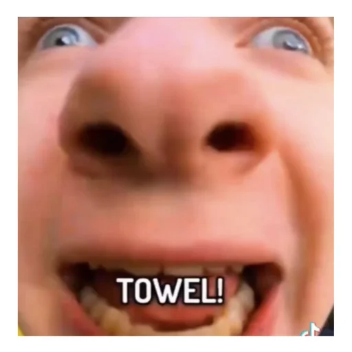 DreamSMPmemems 30