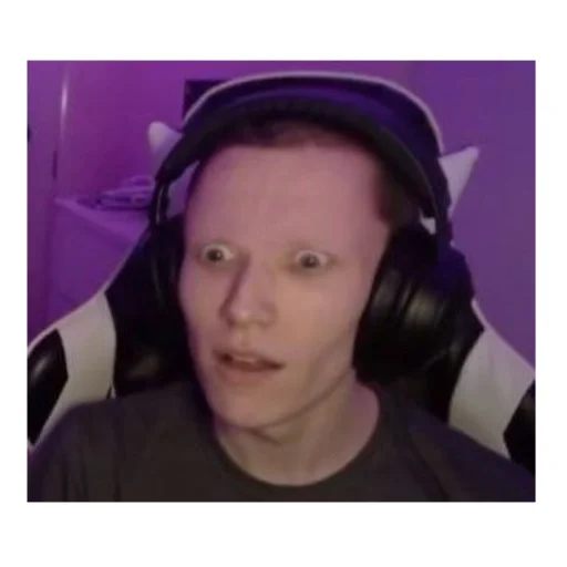 DreamSMPmemems 31