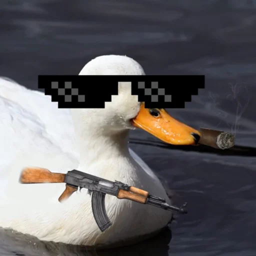 Duckornot 5