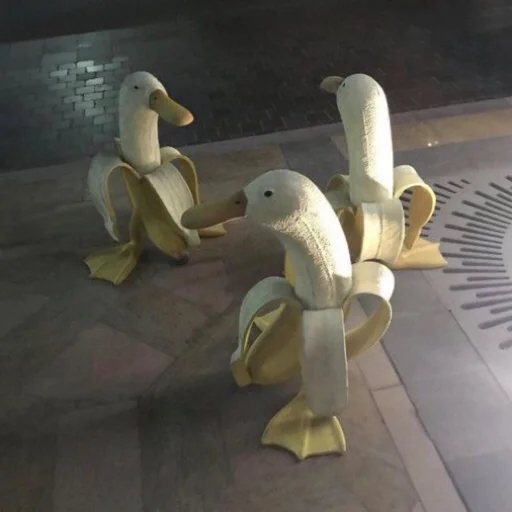 Duckornot 20