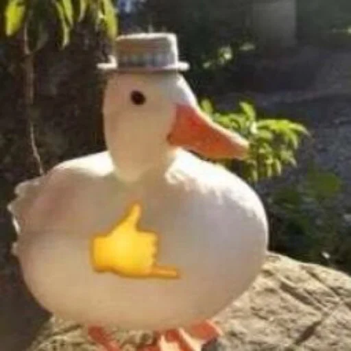 Duckornot 34
