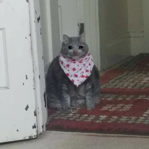 EMDIFTQTJD_by_stikeri_stikeri_bot 8