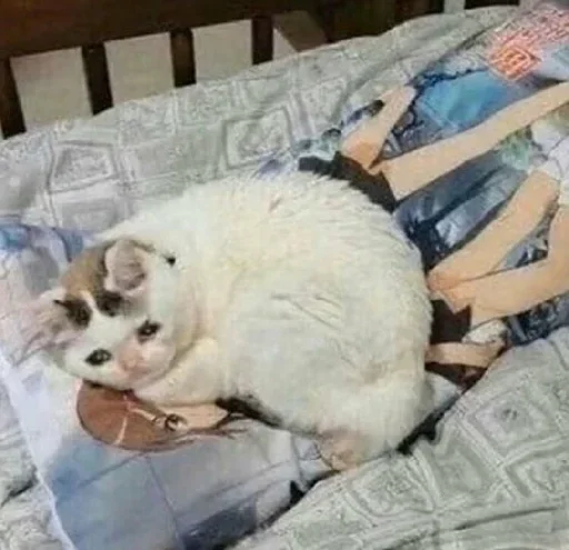 EMDIFTQTJD_by_stikeri_stikeri_bot 10