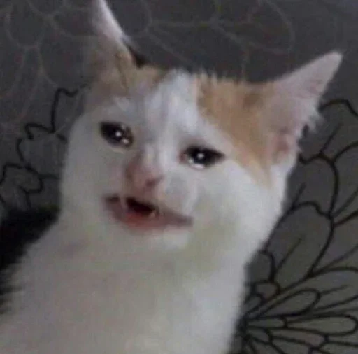 EMDIFTQTJD_by_stikeri_stikeri_bot 12