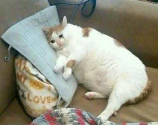 EMDIFTQTJD_by_stikeri_stikeri_bot 14