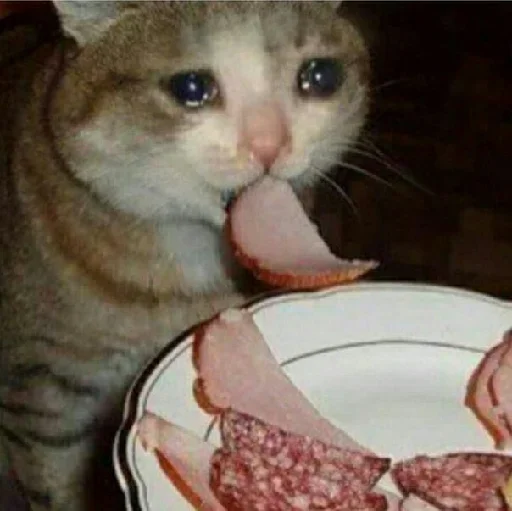 EMDIFTQTJD_by_stikeri_stikeri_bot 16