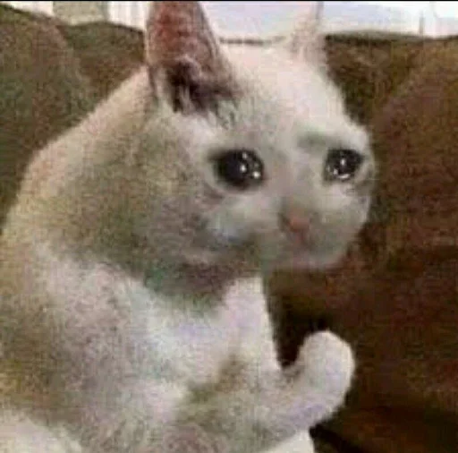 EMDIFTQTJD_by_stikeri_stikeri_bot 21