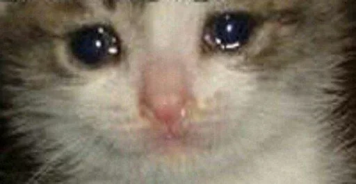 EMDIFTQTJD_by_stikeri_stikeri_bot 22