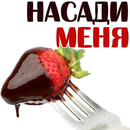 ForbiddenSweets_Alexzhdanov 18