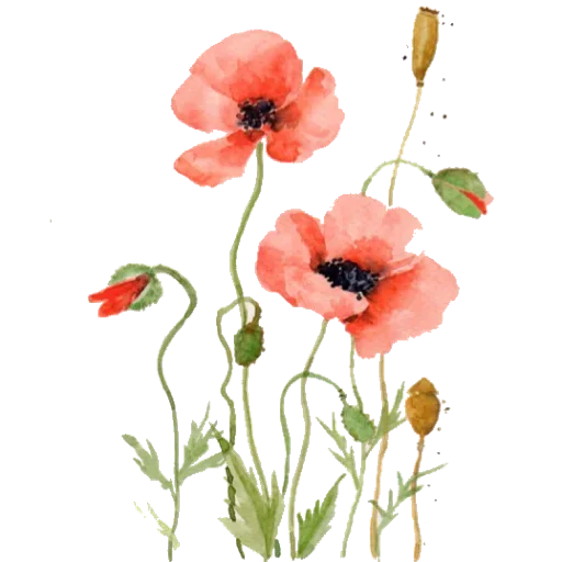 Hearts_Girls_Love 15