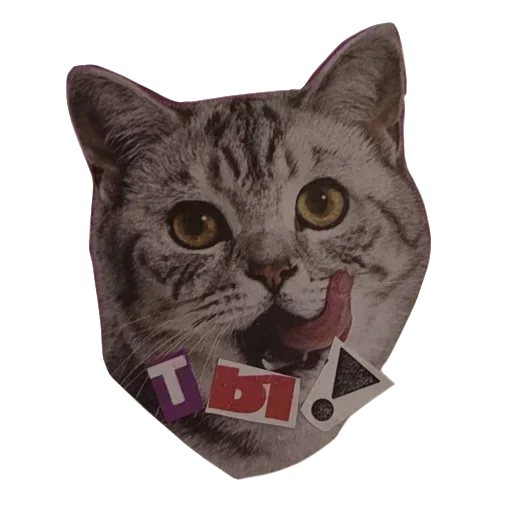 KNSFCZTYZK_by_stikeri_stikeri_bot 15