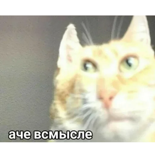 NTAENLFMDA_by_stikeri_stikeri_bot 9