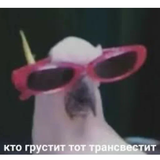 NTAENLFMDA_by_stikeri_stikeri_bot 15