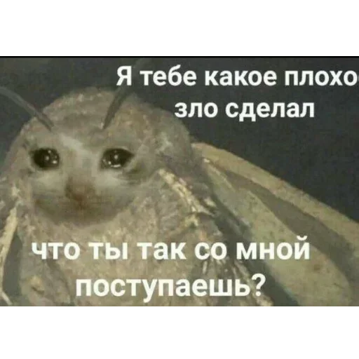 NTAENLFMDA_by_stikeri_stikeri_bot 17