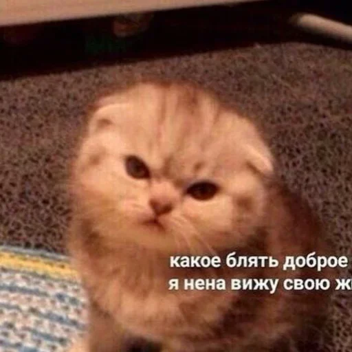 NTAENLFMDA_by_stikeri_stikeri_bot 18