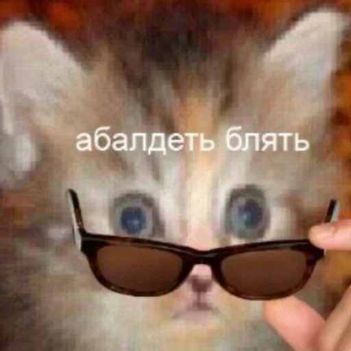 NTAENLFMDA_by_stikeri_stikeri_bot 23