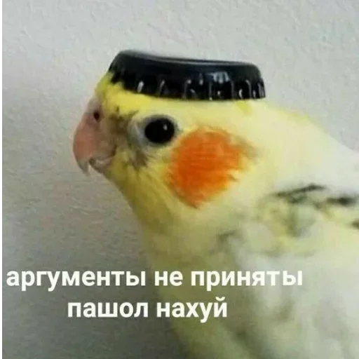 NTAENLFMDA_by_stikeri_stikeri_bot 32
