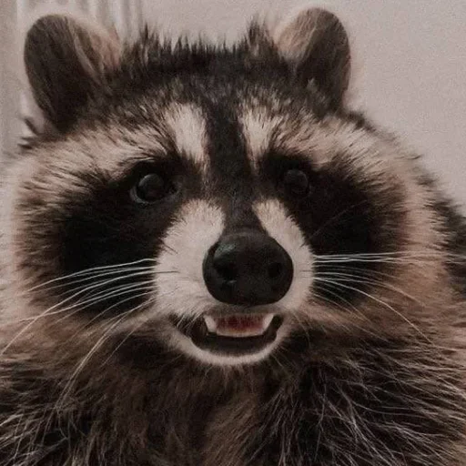 NZZYVVAAKS_by_stikeri_stikeri_bot 8