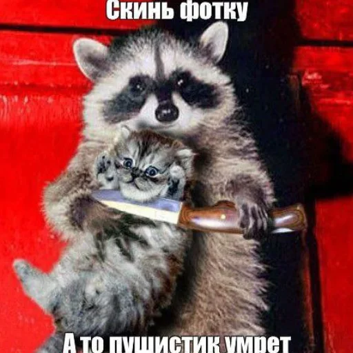 NZZYVVAAKS_by_stikeri_stikeri_bot 10