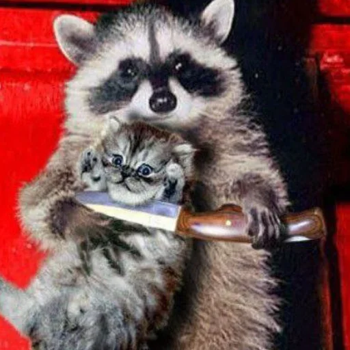 NZZYVVAAKS_by_stikeri_stikeri_bot 11