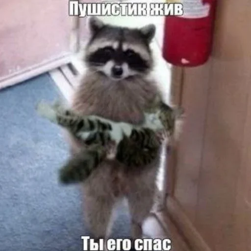 NZZYVVAAKS_by_stikeri_stikeri_bot 12