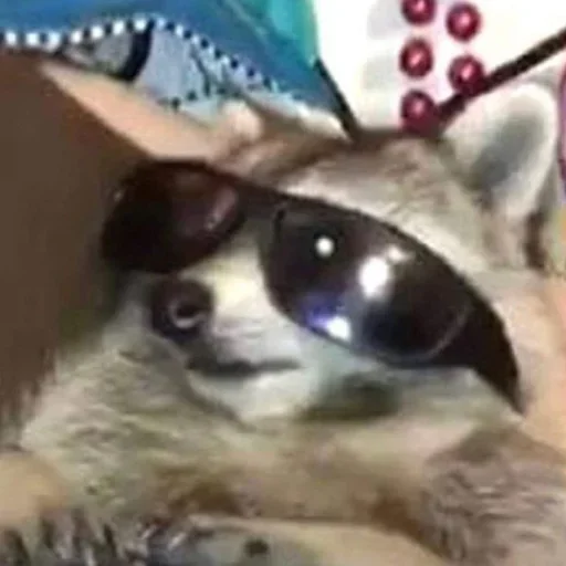 NZZYVVAAKS_by_stikeri_stikeri_bot 13