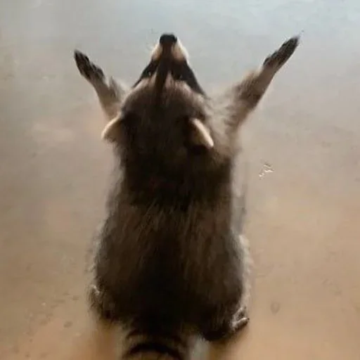 NZZYVVAAKS_by_stikeri_stikeri_bot 14